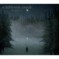 A DIFFERENT CLOUD - Skogslott