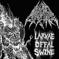 ABHOMINE - Larvae Offal Swine