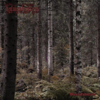 KALMANKANTAJA - Metsäkalmisto 