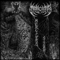 MALICIOUS - Merciless Storm