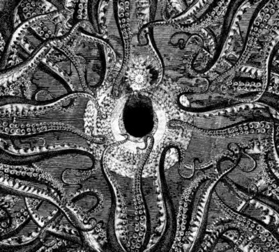 NORNAHETTA The Psilocybin Tapes